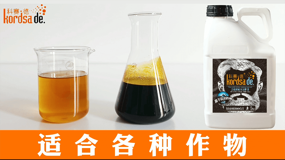 視頻預覽
